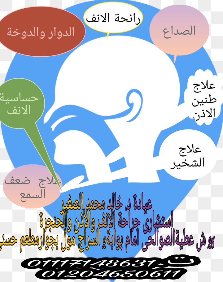 482986220_953031917023955_2298427136299101213_n
